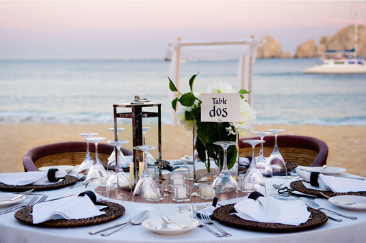 Budget for your Los Cabos Destination Wedding Planner she will work for you